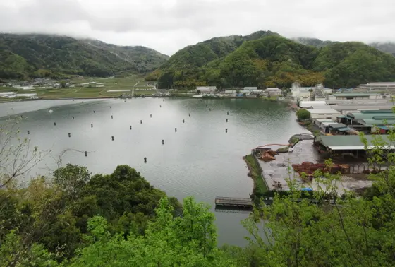 展望広場