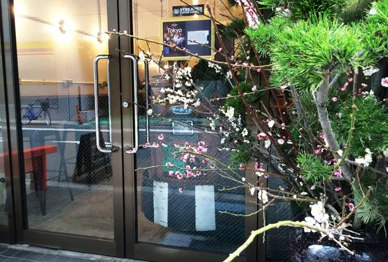 一見、コーヒーショップとは気がつきにくいかも