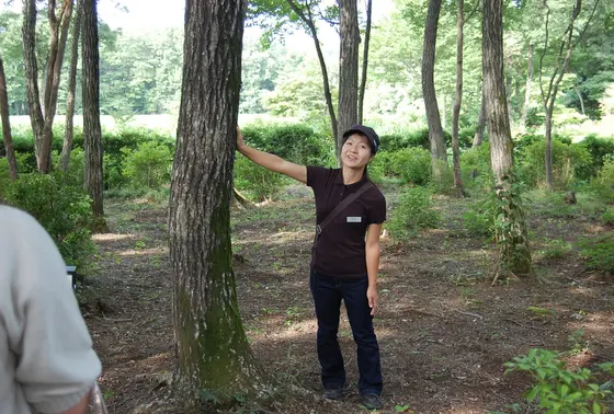 朝のウォーキングプログラム