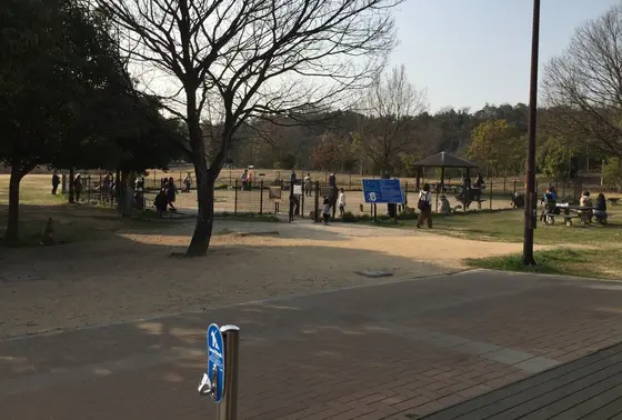 ドッグラン