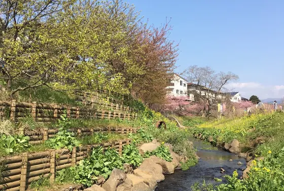 せせらぐ川