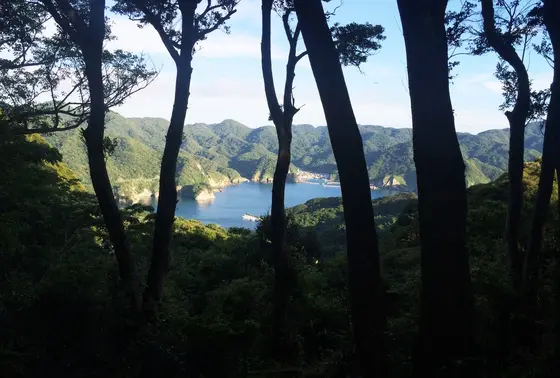 外
