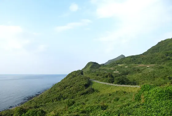 周辺の道路からの風景