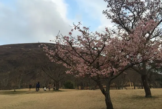 大室山と