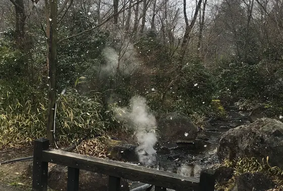 あちこち湯気が‼︎
