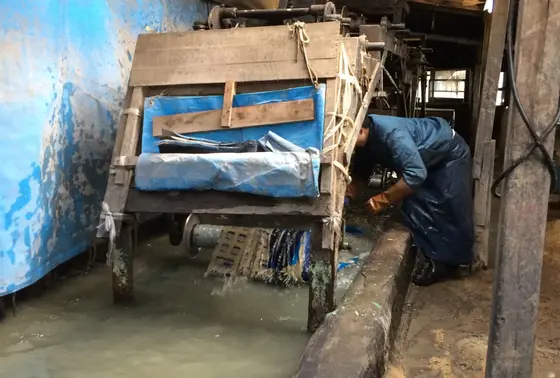 （手順２）工場そばを流れる川で糊を落とす