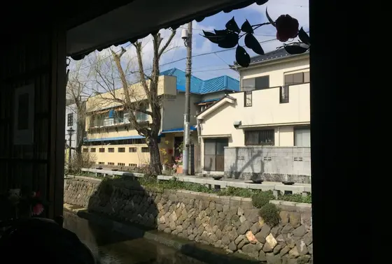 川沿い