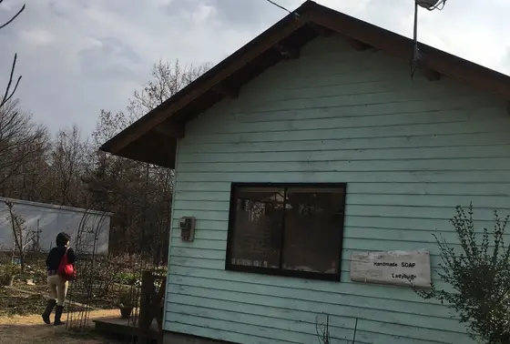 水色が目印