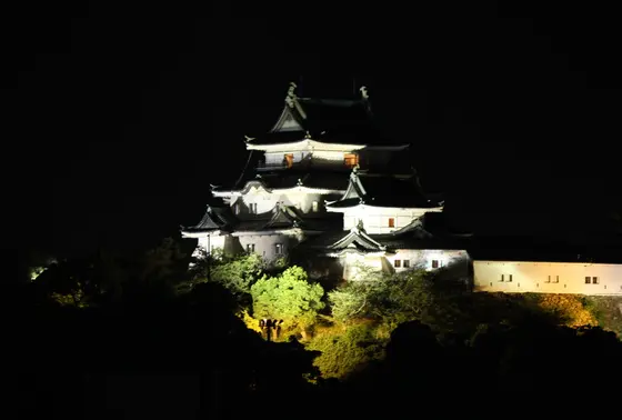 夜のライトアップ