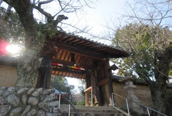 女人の高野山参り「女人高野」とも