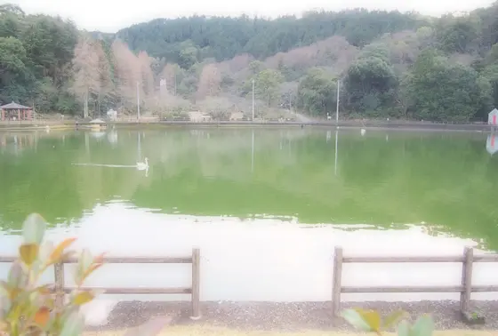 大きな池を囲んだウォーキングコース