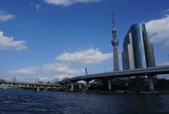 浅草 シーバス