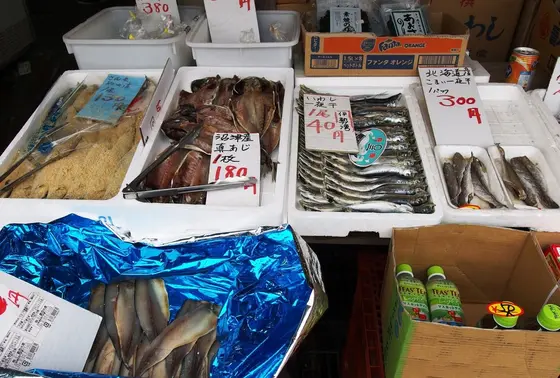 お魚も