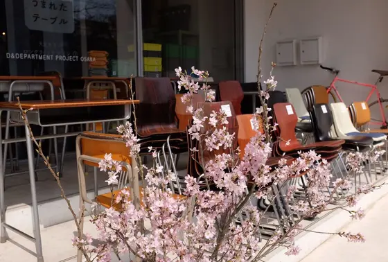 入口には桜