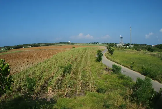 コート盛の上から一望
