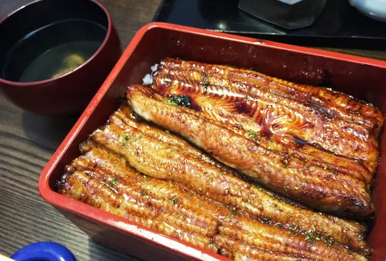 上うな重
