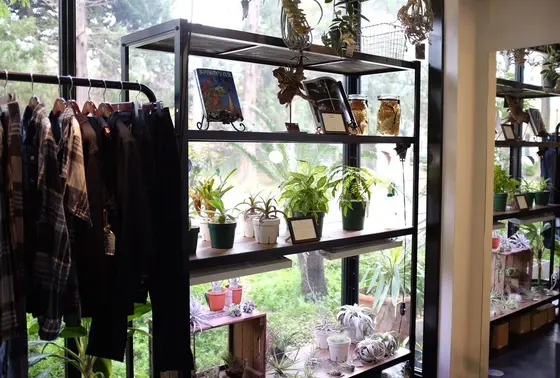 店内で植物も販売