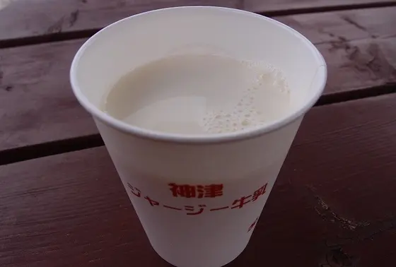 新鮮な牛乳1杯付きの乳搾り体験は外せない♪