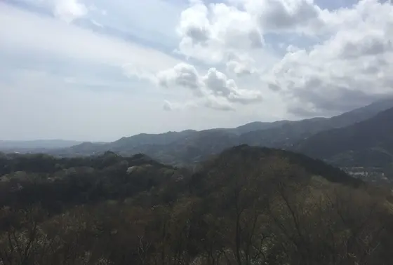山側の景色