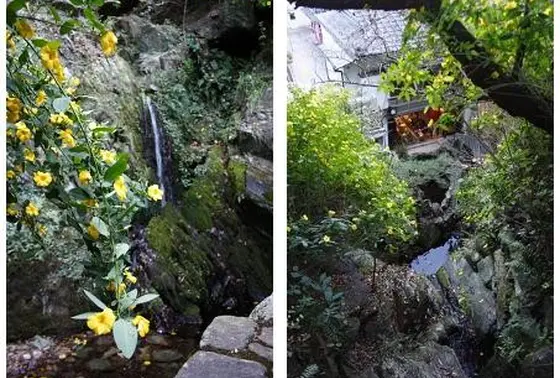 白糸の滝