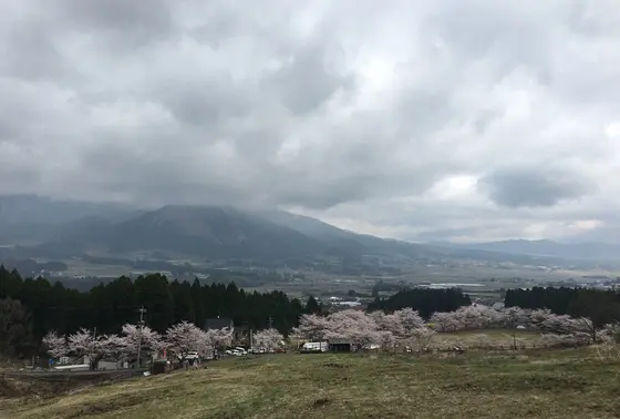 惚れ惚れな風景