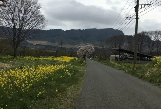 農道にあります