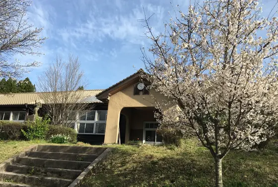 グルッと桜
