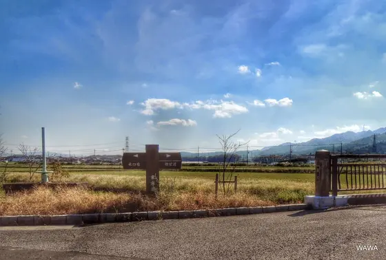 横田渡