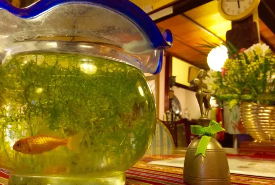 テーブルの上金魚鉢