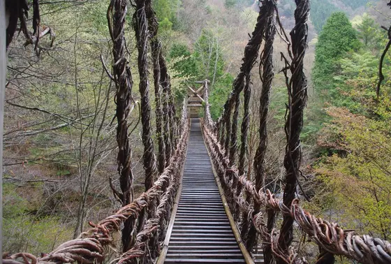男橋