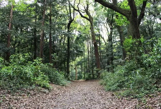 PLACE