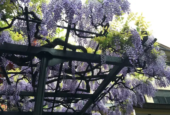 毘沙門天