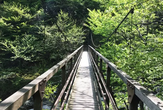 吊り橋
