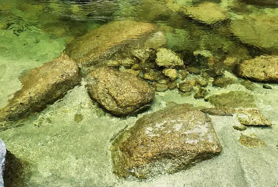 南アルプスの天然水