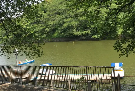 千鳥が淵