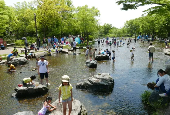 水で遊びたい放題