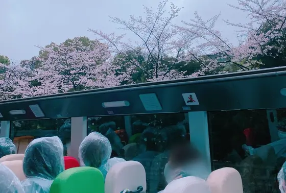 雨でも運行します