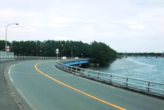 渚園あたりは逆風が・・・
