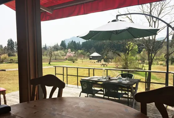 席から見える景色