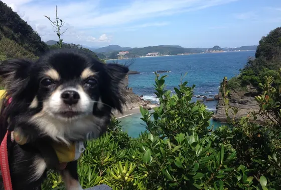 天窓を上ると…