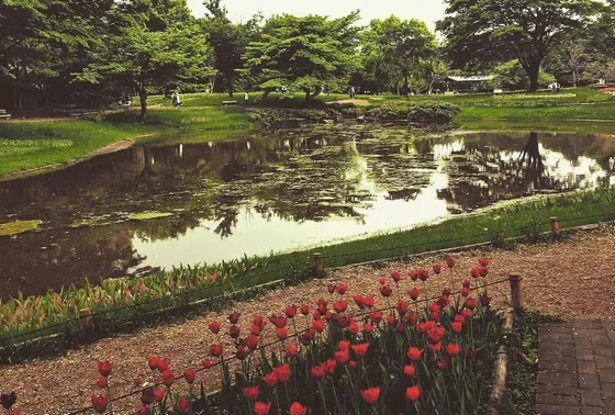 お花畑ゾーン