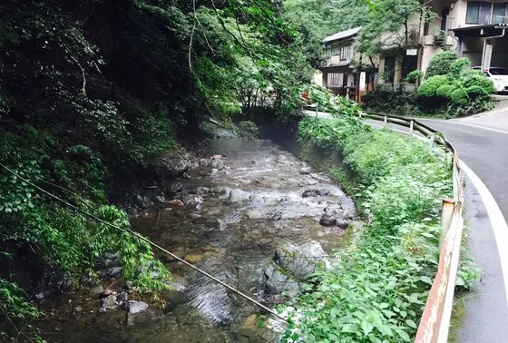 奥宮まで歩きます