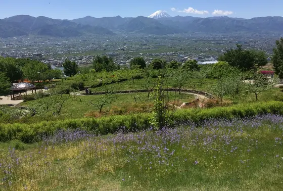 富士山が見えて気持ち良いです。