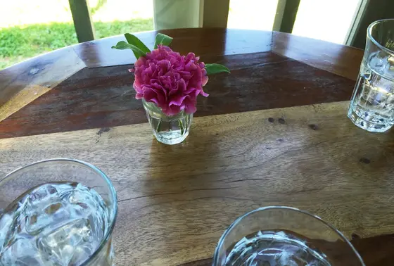 ナチュラルな雰囲気の店内でホッとします