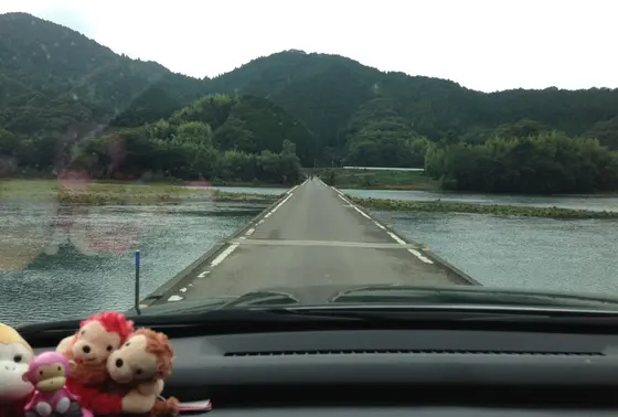 車で走ると…