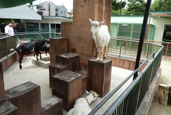 ふれあい広場「おとぎの国」