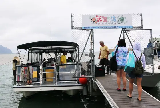 サンドバーへは船でいきます
