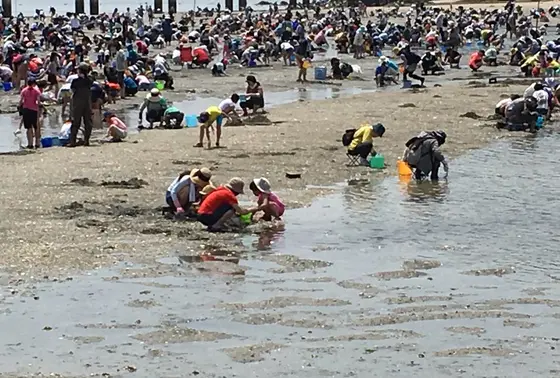 潮が良いと島まで干上がりますよ。
