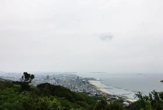 山頂ではこんな綺麗な景色が!