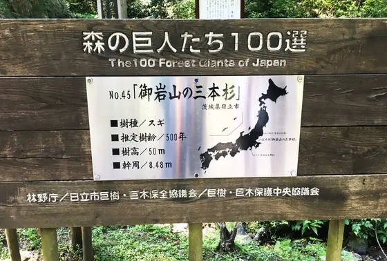 森の巨人たち100選